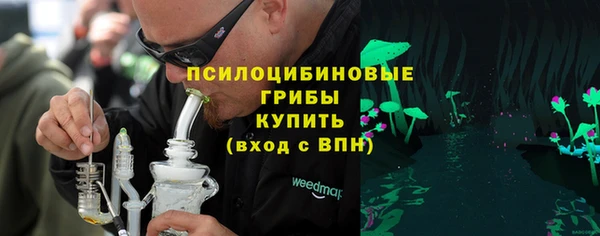 ешки Алексин