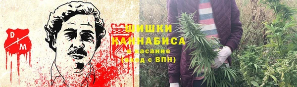 ешки Алексин