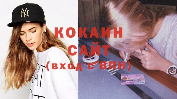 ешки Алексин