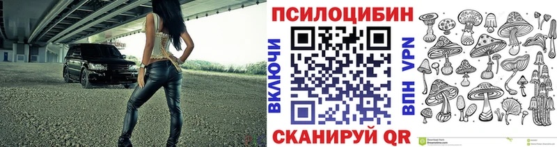 blacksprut ссылки  Чебоксары  Галлюциногенные грибы Psilocybine cubensis 