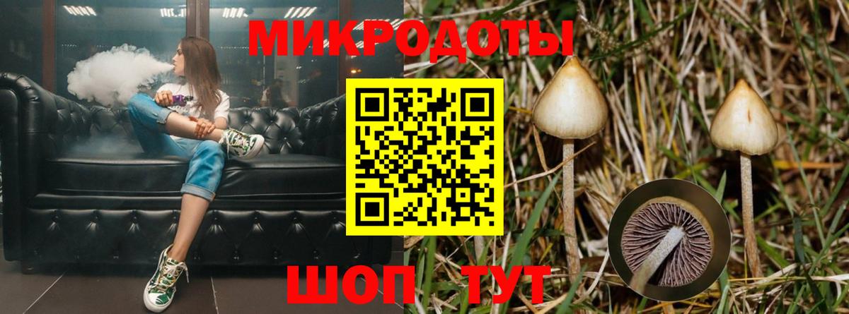 Галлюциногенные грибы прущие грибы Чебоксары
